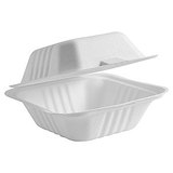 Biocane Take Away Food Container 6x6