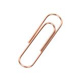 COS Paper Clips Jar 28mm