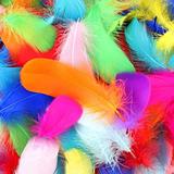Jasart Colourful Feathers Small