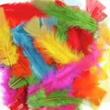 Jasart Colourful Feathers Large