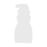 Cardboard Standing Christmas Characters