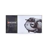 Micador Soft Pastels for Artists