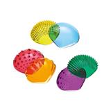 Tactile Shells with Activity Guide