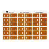 Avery Lateral Filing Labels Alpha *L*