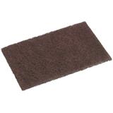 Oates Nylon Scouring pad 23x15cm
