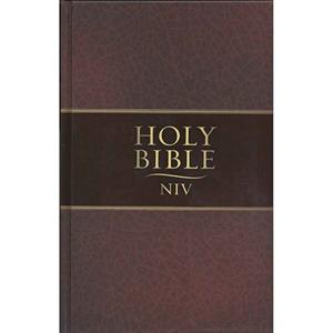 NIV Thinline Bible Brown