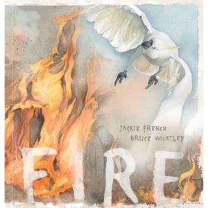Novel Fire