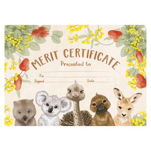 Flora Eucalyptus Scent Certificates Pk20