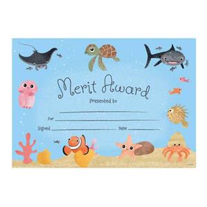 Ocean Certificate Pkt35