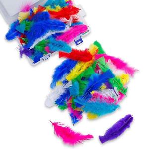 ImagiNation Large Feathers Assorted