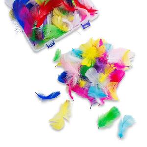 ImagiNation Small Feathers Assorted
