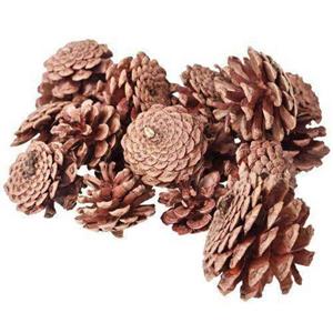 Zart Pine Cones 4-6cm Natural