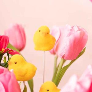 Easter Decor Baby Chick Picks 30cmH