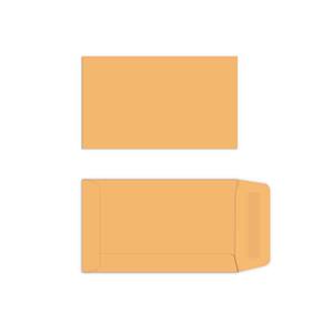 COS LNS No.5 Seed Env 120x70mm
