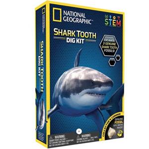 National Geographic Shark Teeth Dig Kit