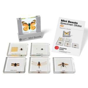 Mini Beasts Slides & Viewer Air Insects