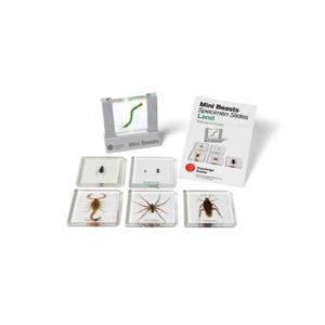 Mini Beasts Slides & Viewers Land Insect