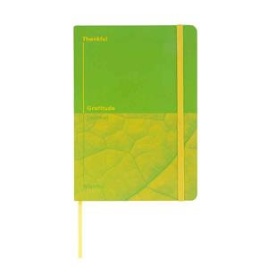 Thankful & Wishful - Gratitude Journal