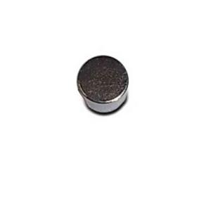 Magnet Earth Neodymium 22 x10mm