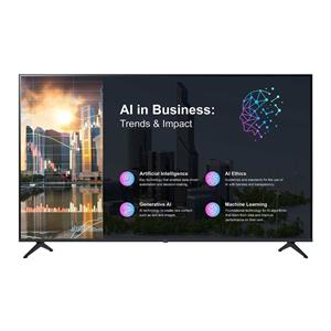 LG 65" Commercial 4K TV