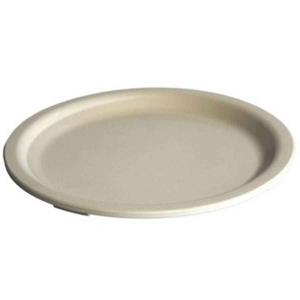 Miranda Plastic Entree Plate 153mm