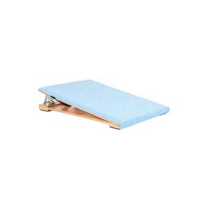 HART Gymnastics Kids Beatboard