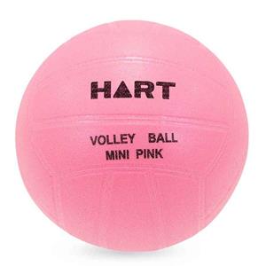 HART Mini Soft Volleyball 20cm