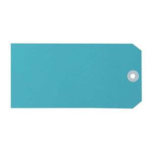 Avery Shipping Tags No.8 80x160mm