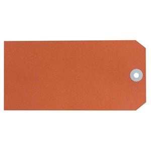 Avery Shipping Tags No.8 80x160mm