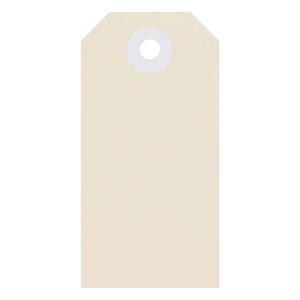 COS Shipping Tags No.3 48x96mm