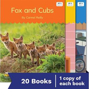 Nelson Decodable Readers Set 5 